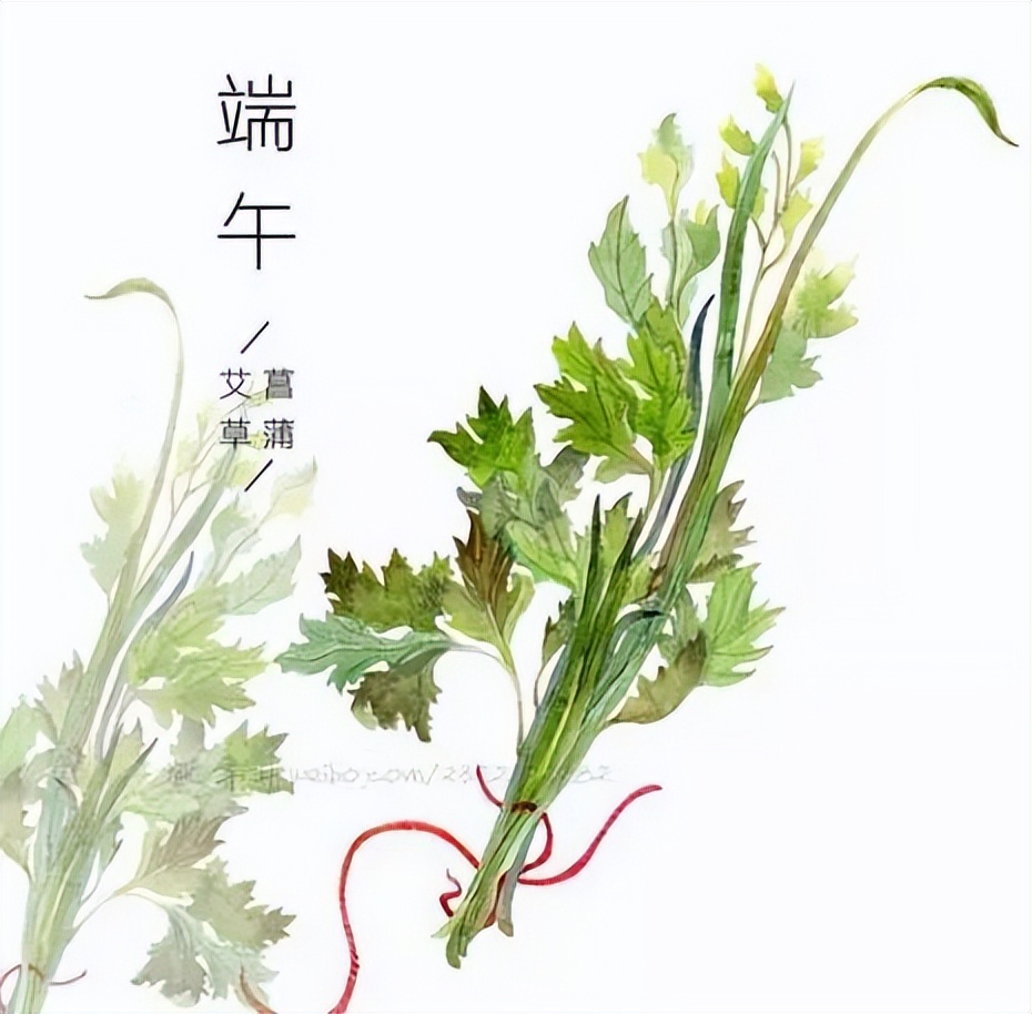 端午(wǔ)節的(de)真正由來！太漲知識(shí)了